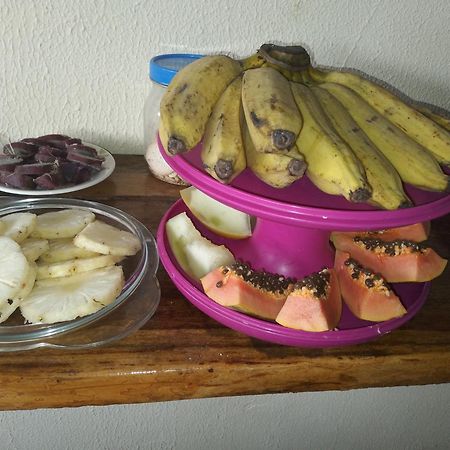 Pousada Shalom E Hostel Holly Land Santo Amaro do Maranhao Dış mekan fotoğraf
