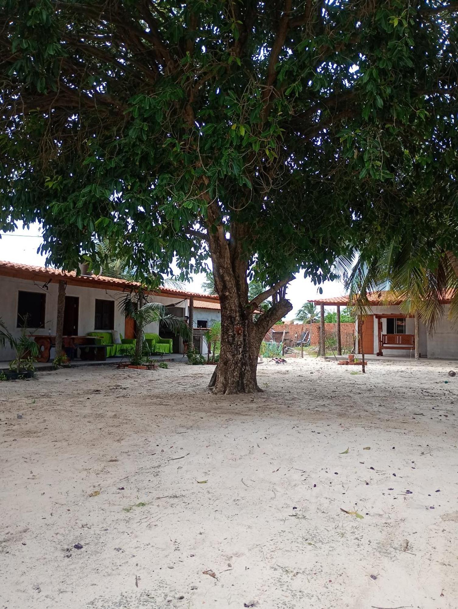 Pousada Shalom E Hostel Holly Land Santo Amaro do Maranhao Dış mekan fotoğraf