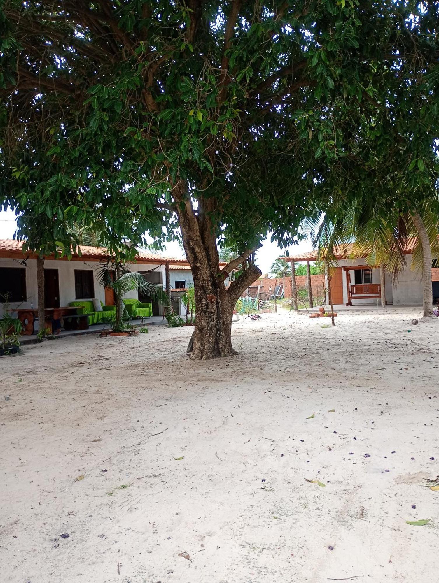 Pousada Shalom E Hostel Holly Land Santo Amaro do Maranhao Dış mekan fotoğraf