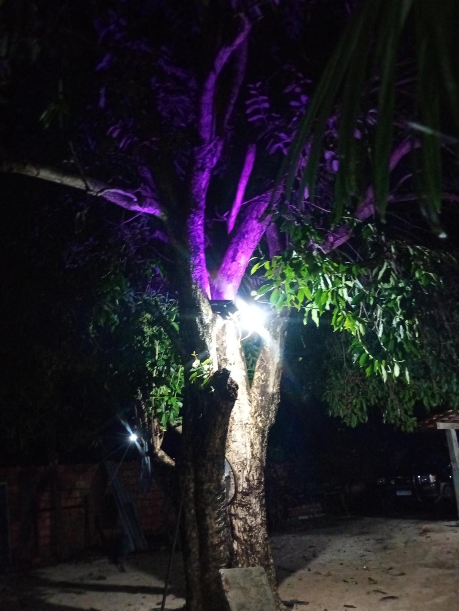 Pousada Shalom E Hostel Holly Land Santo Amaro do Maranhao Dış mekan fotoğraf